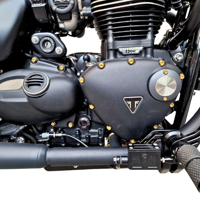 bobber motor